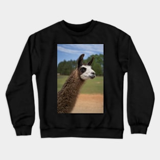 dark brown llama Crewneck Sweatshirt